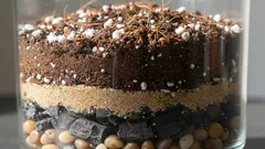 ザミオクルカスは、栄養分が少なく、軽く、ふかふかした土壌を好みます。自分で作ってみましょう